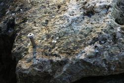 unmarked-stone-detail